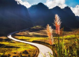 10 địa điểm chụp ảnh ở Mộc Châu cực ảo không phải ai cũng biết chụp ảnh ở mộc châu