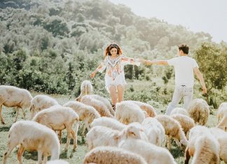 Đồi cừu Vũng Tàu – địa điểm chụp ảnh cực “hot” cho giới trẻ