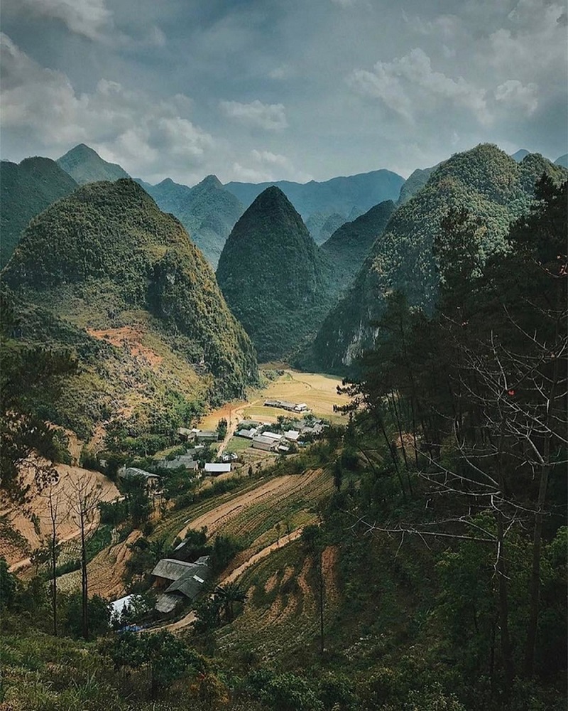 Toàn cảnh Hà Giang với những dãy núi điệp trùng và cánh đồng lúa chín