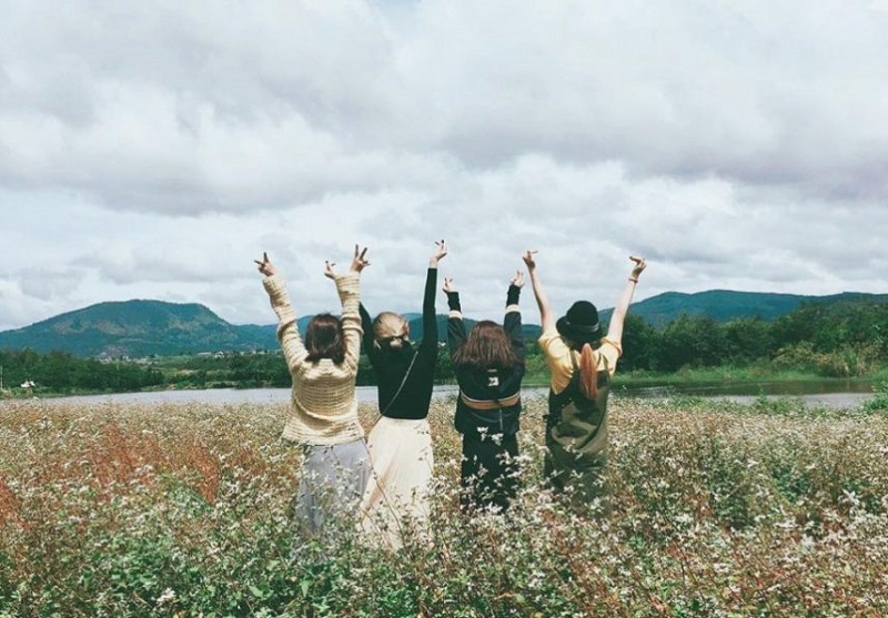 4 bạn gái check in tại cánh đồng hoa tam giác mạch Hà Giang
