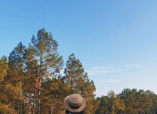 Lên kế hoạch chi phí đi Mộc Châu tự túc tiết kiệm nhất chi phí đi mộc châu