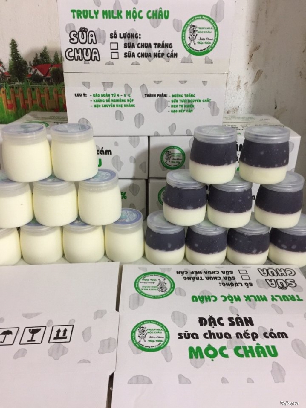 sữa chua nếp cẩm mộc châu