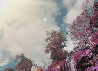 Thác Dải Yếm Mộc Châu có đẹp không? Những góc “sống ảo” được yêu thích tại Thác Dải Yếm