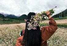 Bản đồ du lịch Hà Giang mới nhất 2019 cho du khách cánh đồng hoa tam giác mạch