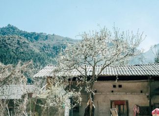 Du lịch Hà Giang mùa nào đẹp nhất: Hà Giang tháng 10, 11, 12,…có gì đẹp? du lịch Hà Giang mùa nào đẹp nhất