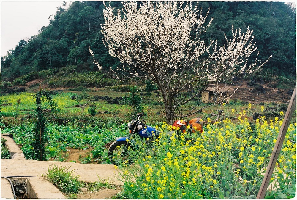 du lịch hà giang tháng 3