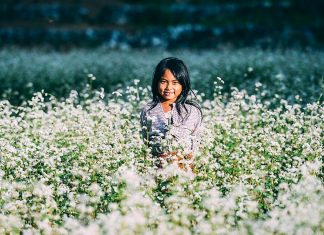 Kinh nghiệm du lịch mùa hoa tam giác mạch Hà Giang cánh đồng hoa tam giác mạch hà Giang