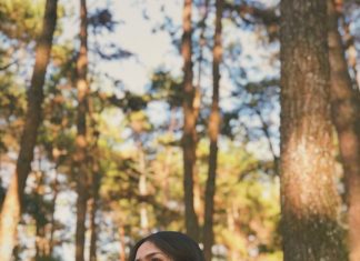 Rừng thông Yên Minh Hà Giang có gì đẹp? Chỉ đường đi rừng thông Yên Minh từ Tp. Hà Giang Check in rừng thông Yên minh hà Giang