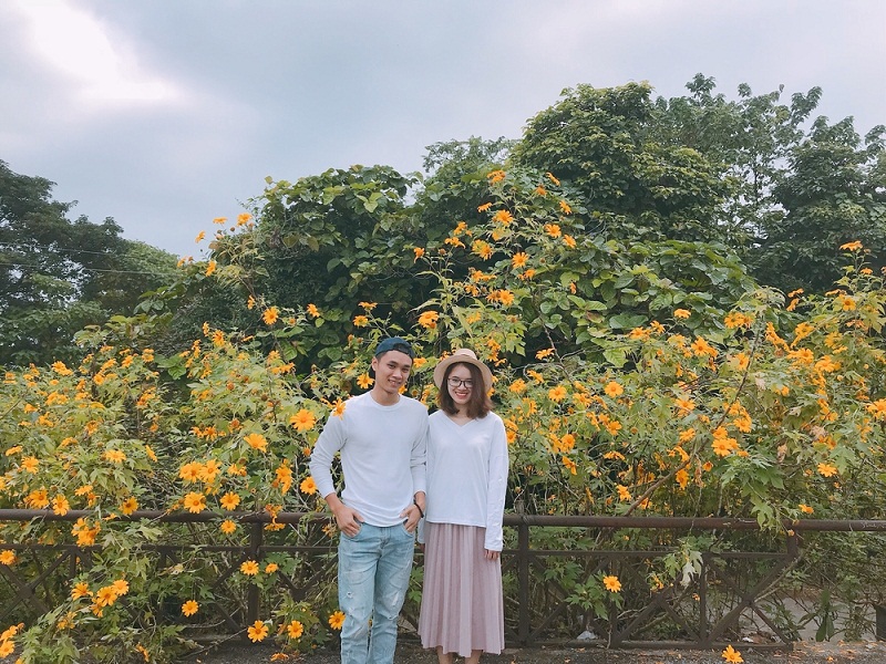 Một cặp đôi chụp hình trước vườn hoa dã quỳ