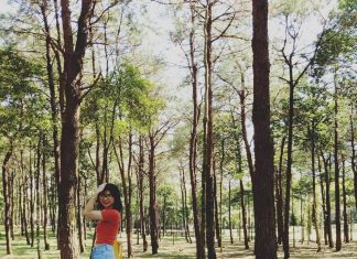 Ba Vì có những khu du lich nào? 20 khu du lịch Ba Vì để bạn ghé thăm khu du lịch ba vì