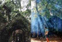 Kinh nghiệm du lịch Ba Vì 2019: giá vé, phương tiện, có gì mới,… kinh nghiệm du lịch ba vì