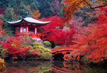 Từ A-Z kinh nghiệm du lịch Nhật Bản tự túc mới nhất 2020 Mùa lá phong đỏ tại Nhật Bản
