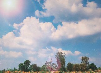 Review kinh nghiệm du lịch phượt Tây Ninh tự túc từ A-Z