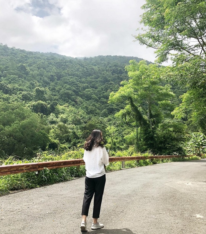 Vườn quốc gia Lò Gò – Xa Mát rợp bóng cây xanh