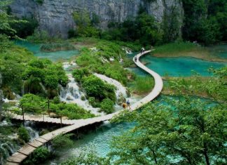 Danh sách các vườn quốc gia Việt Nam theo thứ tự từ Bắc vào Nam đầy đủ nhất vườn quốc gia