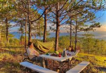 List 20 địa điểm cắm trại Đà Lạt đẹp và thơ mộng nhất (Kinh nghiệm + Review) 2 người trò chuyện khi đi cắm trại trong rừng