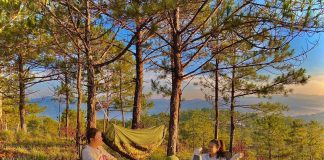 List 20 địa điểm cắm trại Đà Lạt đẹp và thơ mộng nhất (Kinh nghiệm + Review) 2 người trò chuyện khi đi cắm trại trong rừng