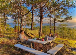 List 20 địa điểm cắm trại Đà Lạt đẹp và thơ mộng nhất (Kinh nghiệm + Review) 2 người trò chuyện khi đi cắm trại trong rừng