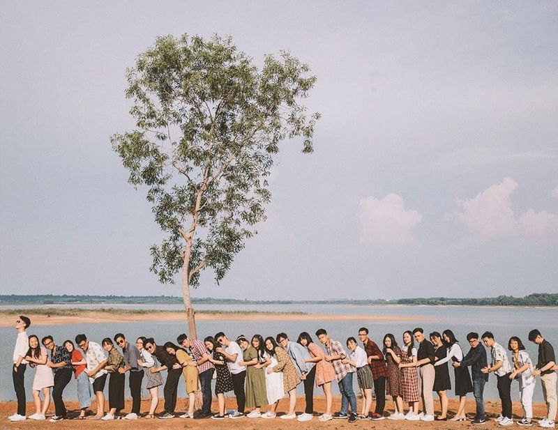 Các bạn trẻ chụp hình ở cây cô đơn trên hồ Trị An