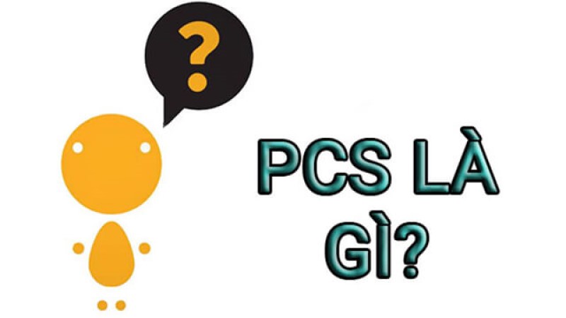 PCS là gì? Phân biệt tất cả các khái niệm về PCS - Travelgear