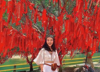 Du lịch Đài Loan mùa nào đẹp nhất? Tháng 10, 11, 12 có tuyết không? Mùa lễ hội ở Đài Loan