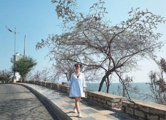 Bãi Trước Vũng Tàu có tắm được không? Kinh nghiệm đi Bãi Trước Vũng Tàu từ A-Z bãi Trước Vũng tàu