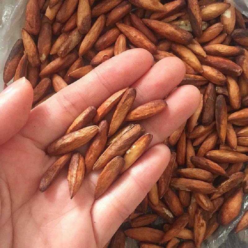 Mứt hạt bàng độc đáo ở Vũng Tàu