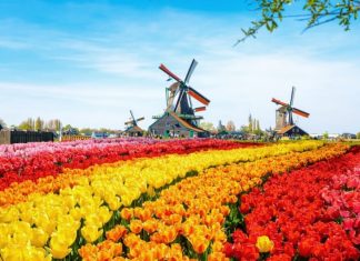 Netherlands là nước nào? Netherlands ở đâu? Thủ đô, quốc kỳ, văn hóa đất nước Netherlands
