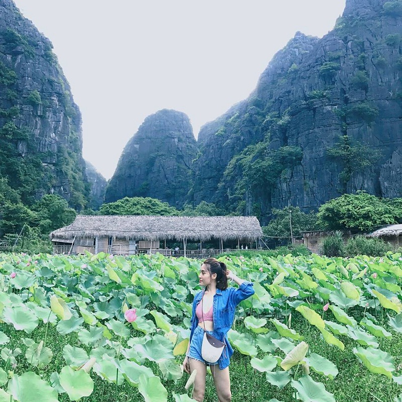 Không gian vườn sen xanh giữa núi tại homestay Chez beo Ninh Bình