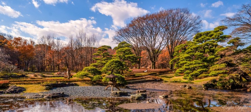 Mách Bạn Top 25 Địa Điểm Đẹp Nhất Du Lịch Tại Nhật Bản