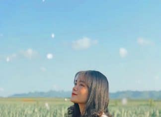 Ở Ninh Bình có những khu du lịch nào? “Update” 7 khu du lịch Ninh Bình mới nhất đồi dứa Tam Điệp