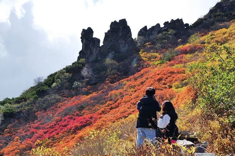 Vườn quốc gia Daisetsuzan với nhiều mảng màu sắc