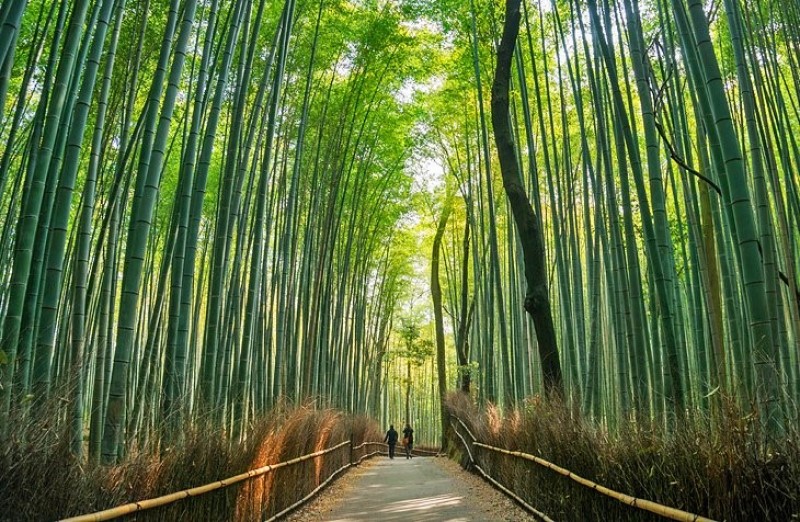 Mách Bạn Top 25 Địa Điểm Đẹp Nhất Du Lịch Tại Nhật Bản
