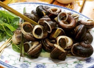 “Ăn no” tại 7 địa chỉ ăn ốc núi Ninh Bình ngon chuẩn vị ốc núi Ninh Bình