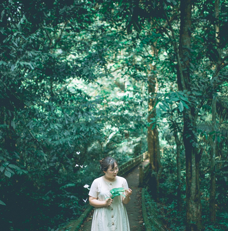 Cô gái cầm lá di chuyển đoạn đường vào rừng Cúc Phương