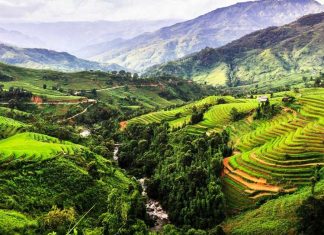 Tây Nguyên thuộc miền nào? Bản đồ du lịch Tây Nguyên mới nhất