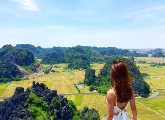 Đi du lịch Ninh Bình mùa nào đẹp nhất? Ninh Bình tháng 1, 2, 3,…10,11,12 có gì? Toàn cảnh mùa lúa chín tại Ninh Bình