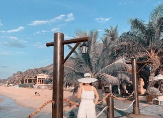 Kinh nghiệm du lịch Hòn Tằm Nha Trang tự túc: giá vé, đi lại, ở đâu, ăn gì…?