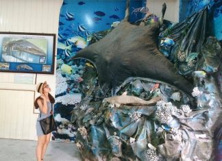 Viện Hải Dương học Nha Trang ở đâu, giá vé, giờ mở cửa? 5 lưu ý khi đi viện Hải Dương học Nha Trang