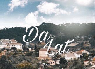 Nên đi Đà Lạt vào tháng mấy? Review Đà Lạt 12 tháng trong năm