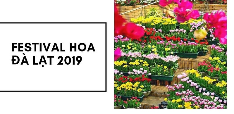 Festival Hoa Đà Lạt 2019