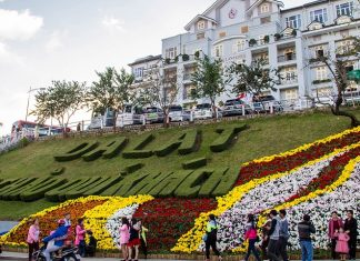 Lễ hội hoa Đà Lạt 2019 tổ chức ngày nào? Lưu ý khi đi Festival hoa Đà Lạt