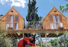 101+ Homestay Đà Lạt đẹp nhất GIÁ RẺ – GẦN CHỢ