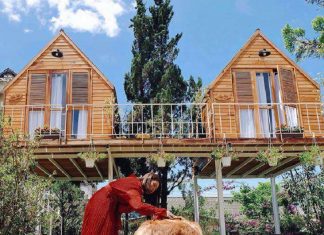 101+ Homestay Đà Lạt đẹp nhất GIÁ RẺ – GẦN CHỢ