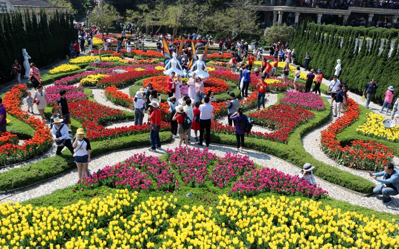 Khu vườn hoa tupip ở Festival hoa Đà Lạt 2019