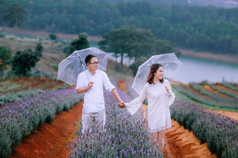 Cặp đôi chụp hình lãng mạn ở vườn hoa Lavender Đà Lạt