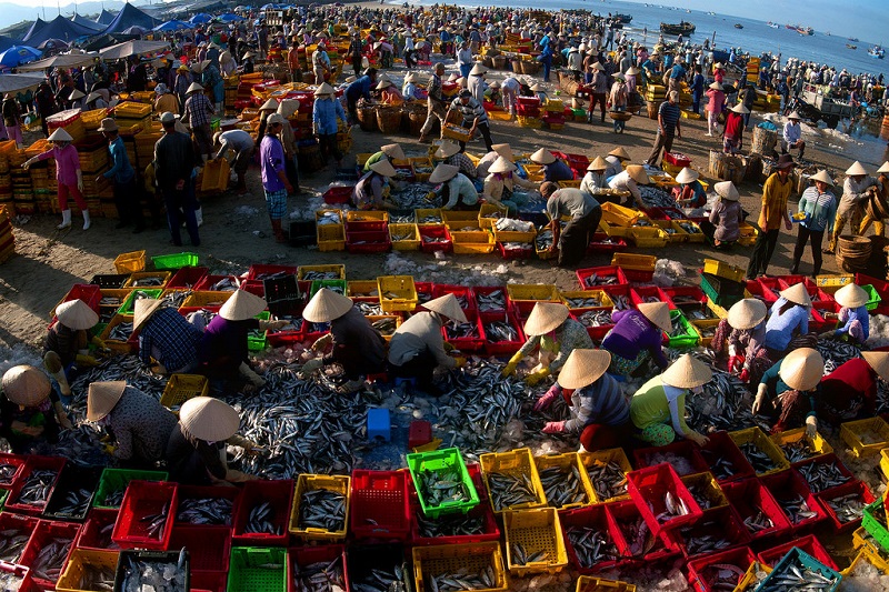 Chợ hải sản Long Hải đông đúc vào mỗi buổi sáng sớm