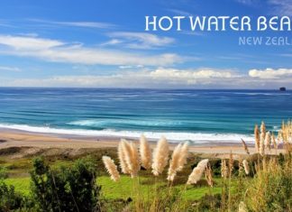 Bãi biển nước nóng ở đâu? Review biển nước nóng Hot Water Beach từ A-Z