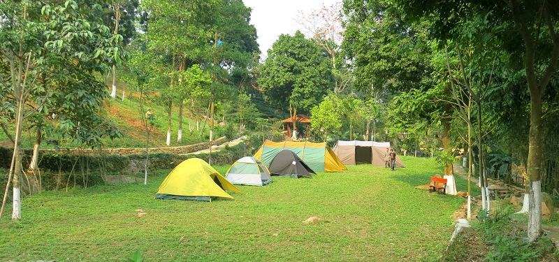 Không gian cắm trại trên bãi cỏ rộng lớn