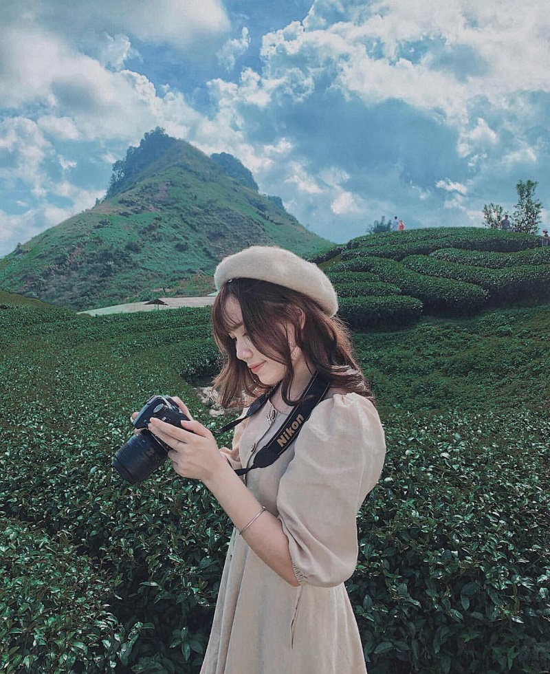 Cô gái cầm máy ảnh chụp hình tại đồi chè Mộc Châu 